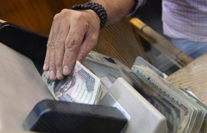 Egypt In-Focus — Central bank reluctant to hike interest rates; beverage industry by 30%