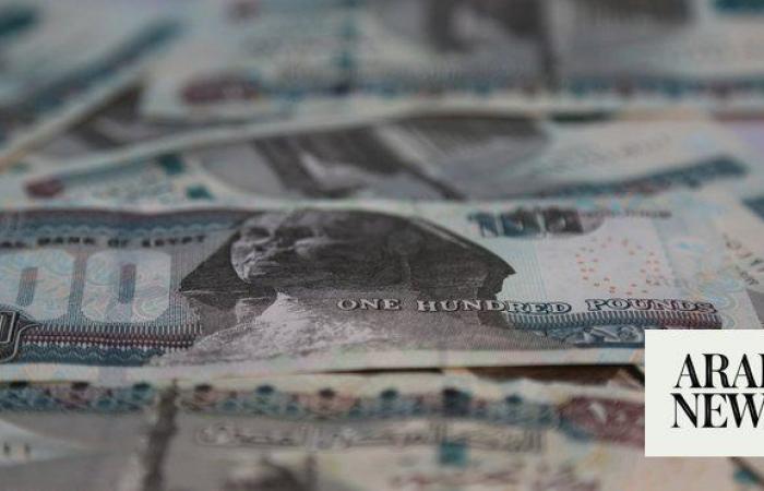 Egypt to issue $500m worth of green bonds in current fiscal: Finance Minister