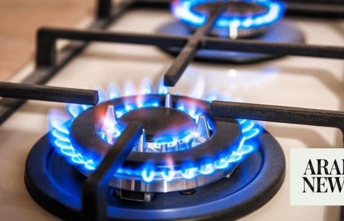 EU to propose natural gas price cap after Nov. 24 meeting