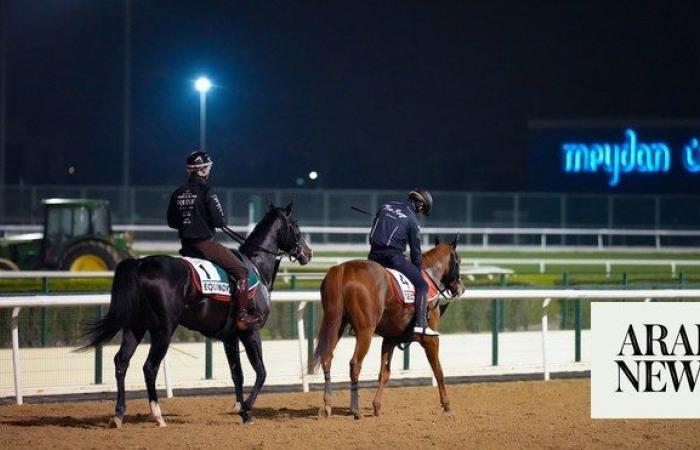 5 things to keep an eye on at the 2023 Dubai World Cup