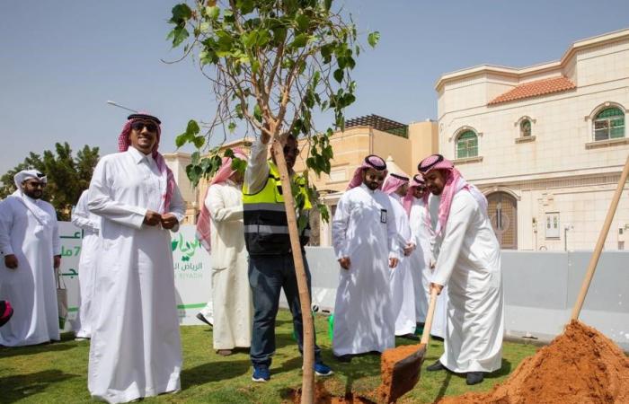 How the Saudi Green Initiative has moved from ambition to action, two years on