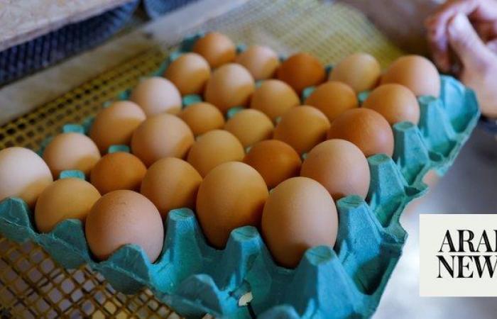 Saudi Arabia offers incentives to investors in organic poultry industry