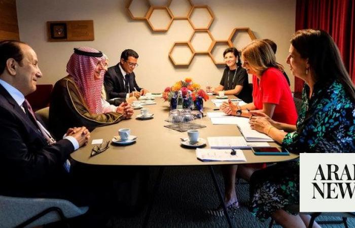 Saudi climate envoy holds meetings with officials at Slovenia forum