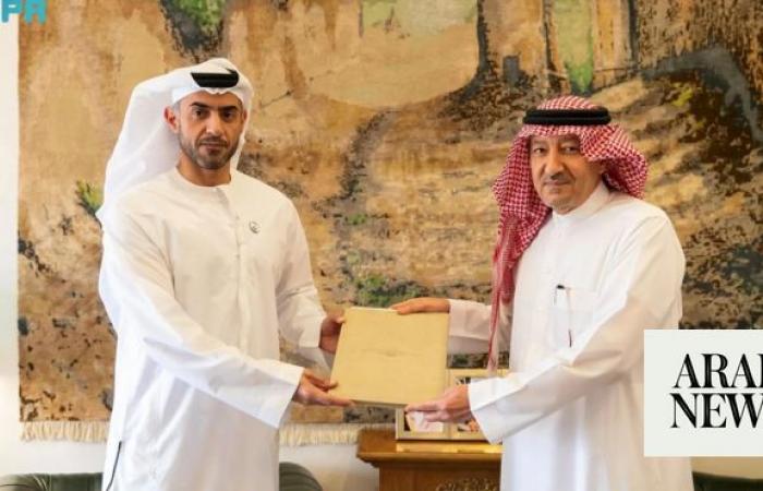Saudi Arabia and UAE discuss bilateral ties