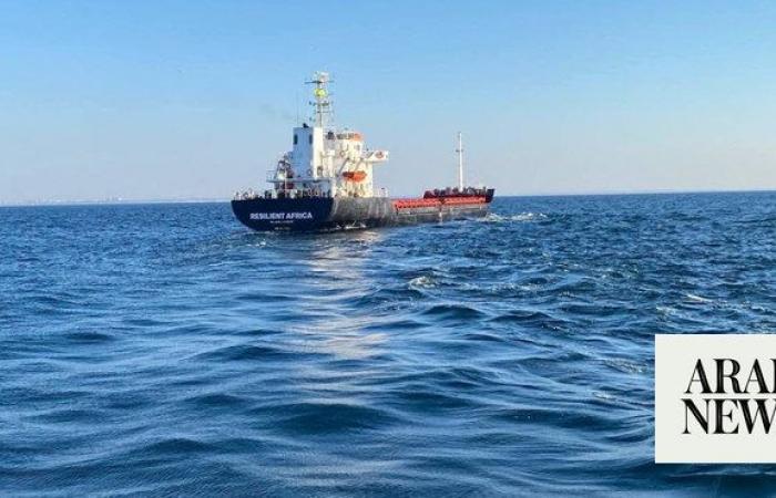 First Ukraine grain ship since Russian blockade reaches Istanbul