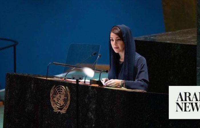 UN, regional bodies key to reducing tensions: UAE minister