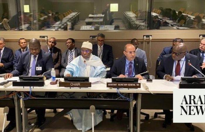 OIC chief holds talks with foreign ministers in New York