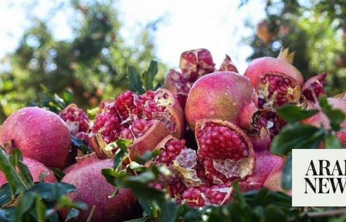 Grape and Pomegranate Festival to begin in Taif on Wednesday  