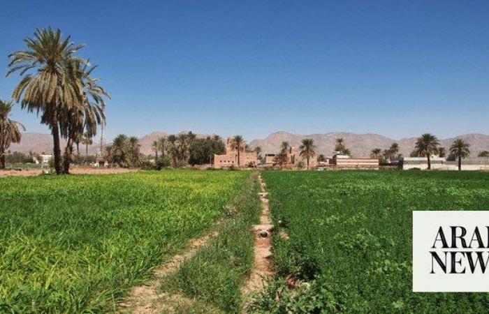 Najran Municipality prepares gardens and parks to receive visitors