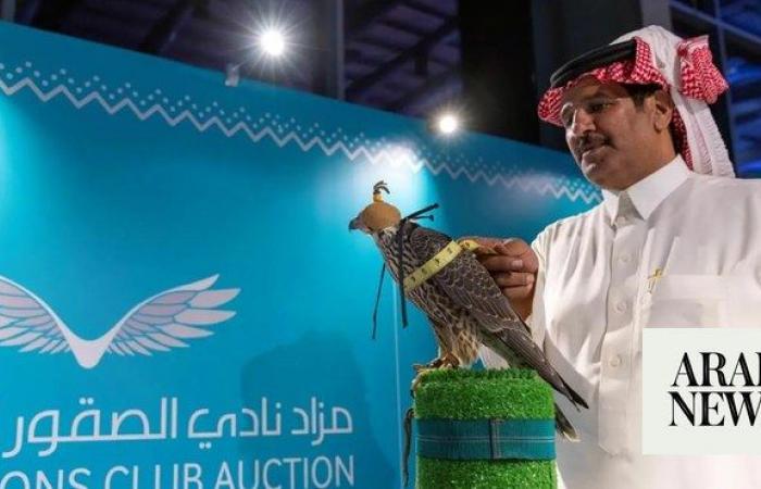 Saudi falcon auction about to take flight