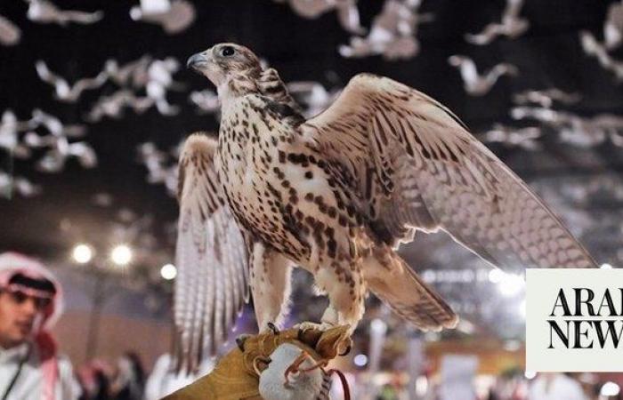 Saudi Falcons Club’s exhibition launches on Thursday