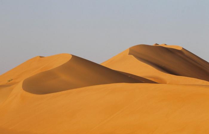 UNESCO listing of Uruq Bani Ma’arid Reserve puts Saudi conservation efforts in the limelight