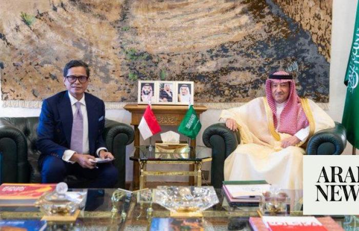 Saudi deputy FM discusses mutual concern issues with Indonesian counterpart