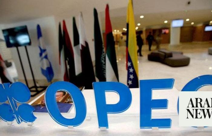 OPEC optimistic on demand, calls for more oil and gas investment