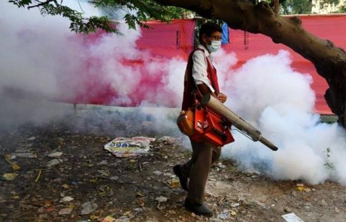 Bangladesh’s worst ever dengue outbreak has now killed more than 1,000 people