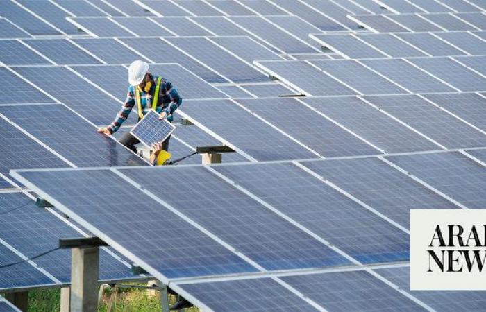 Renewable energy sector jobs nearly double over past decade: IRENA