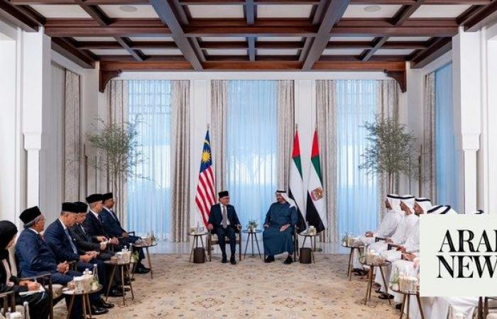 Malaysia looks to UAE for help in energy transition efforts