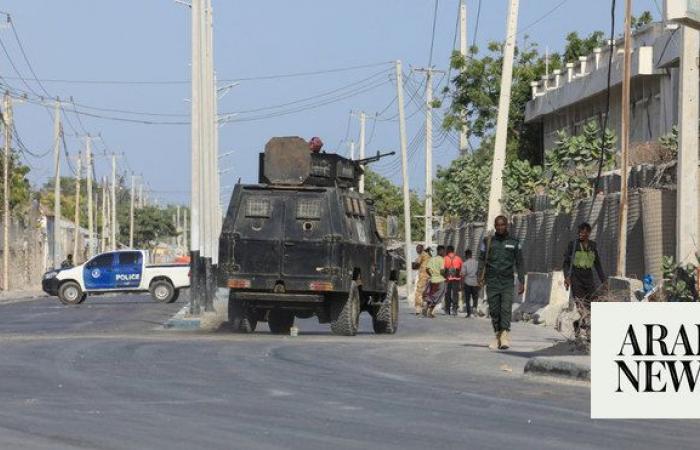 20 pro-government Somali fighters killed battling Al-Shabab