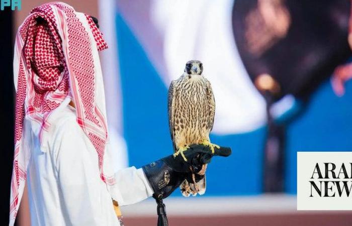 Drones perform light show at Saudi falcons exhibition