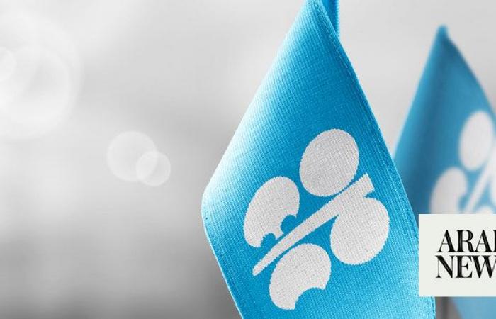 OPEC sticks to 2024 oil demand growth forecast