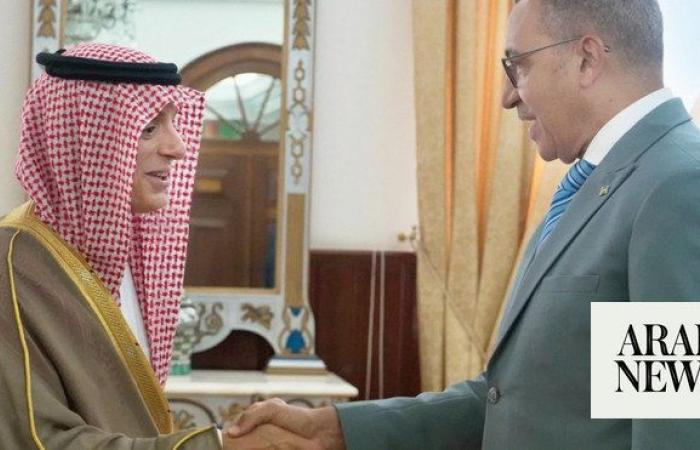 Saudi climate envoy meets with Sao Tome president