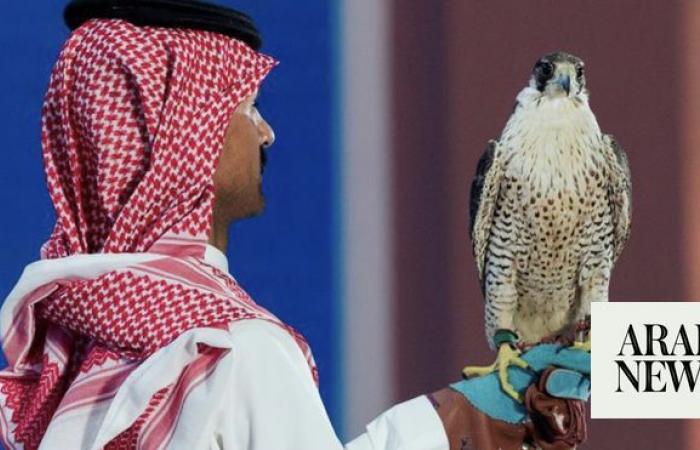 Saudi Falcon Club fetches $266,000 in auction sales