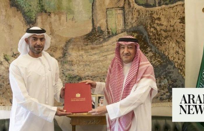 Saudi crown prince receives letter from prime minister of the UAE