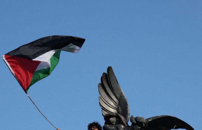 Legal experts, rights groups slam UK home secretary’s call to criminalize carrying Palestinian flag
