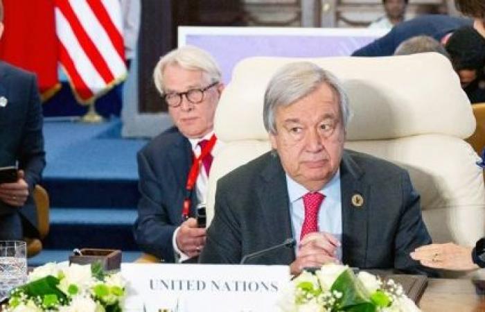 At Cairo Peace Summit, Guterres stresses need for sustained humanitarian aid to Gaz