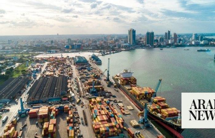 UAE’s DP World, Tanzania Ports Authority ink deal to elevate Dar es Salaam port