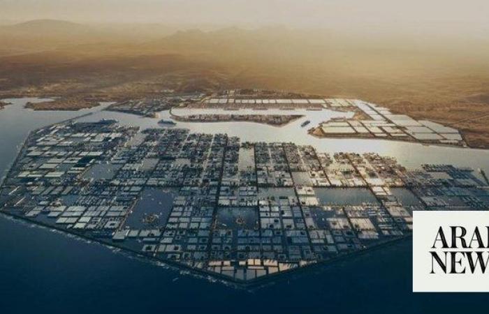 NEOM and DSV in $10bn logistics venture to fuel ambitious projects