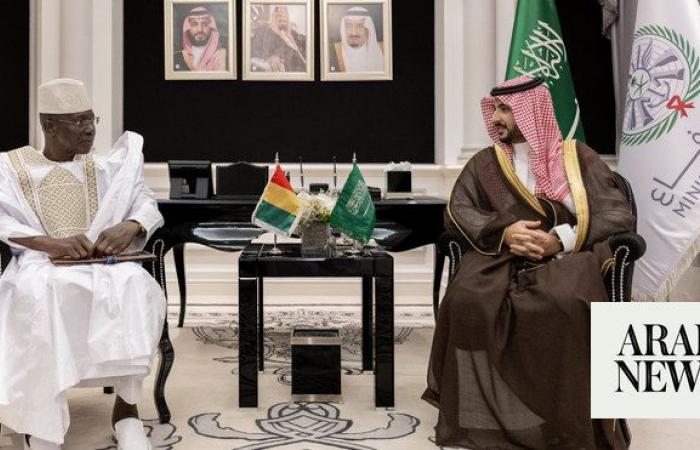 Saudi, Guinean defense ministers discuss cooperation 