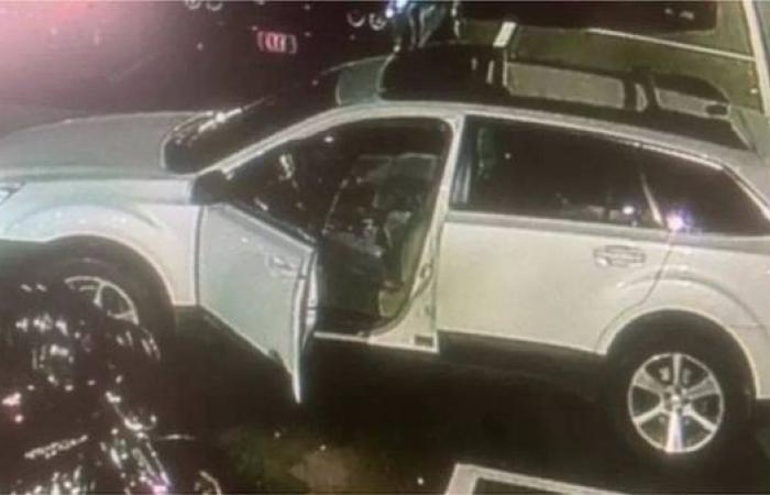 At least 22 people feared dead in mass shootings in US city