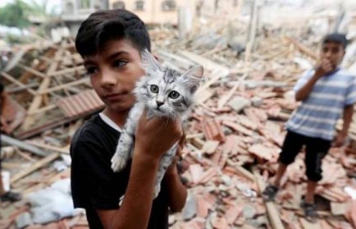 Toll of Israel-Palestine crisis on children ‘beyond devastating’