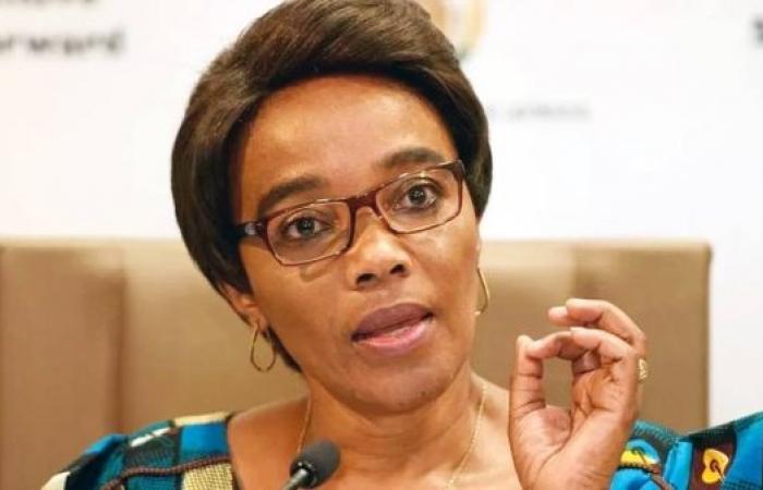 Thieves put gun to South African Transport Minister Sindisiwe Chikunga’s head