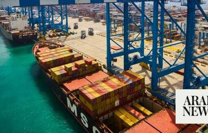 Abu Dhabi Ports bolsters offshore fleet with $200m vessel acquisitions