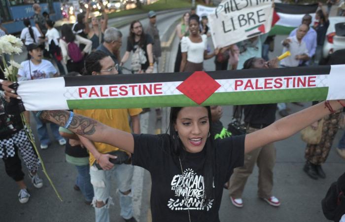 Protesters calling for Gaza cease-fire block road at Tacoma port while military cargo ship docks