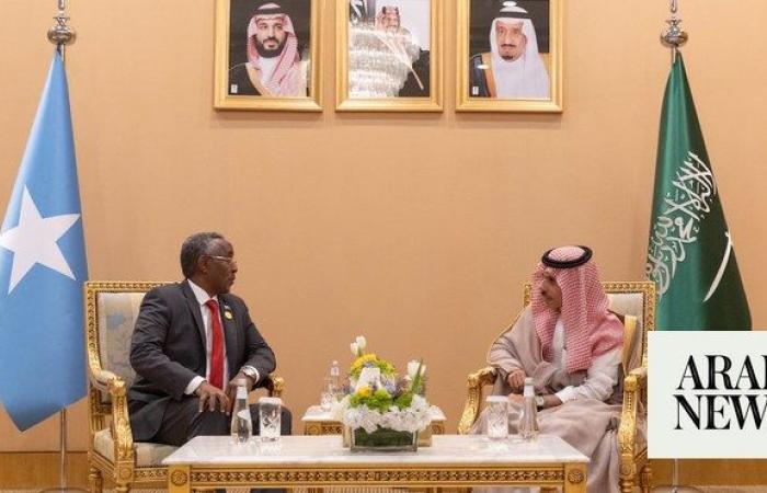 Saudi and Somali foreign ministers meet ahead of Arab summit on Gaza