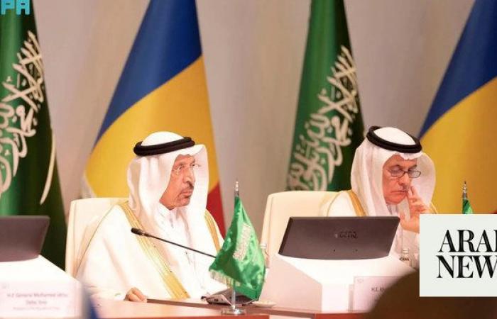 Saudi Arabia holds meetings to strengthen investment relations with Africa