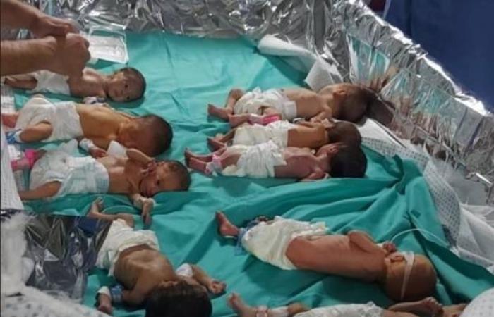It's not possible to move Al-Shifa babies safely, aid organization says