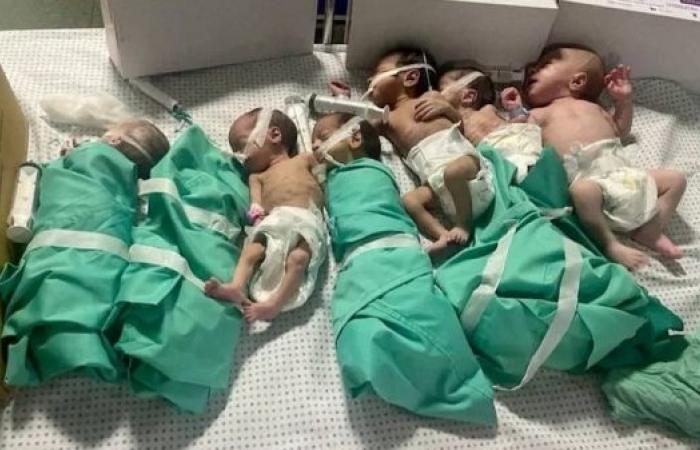 Doctors race to save newborns in Gaza’s largest hospital