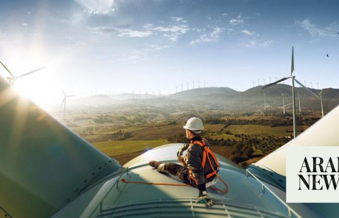 Clean energy sector employment outpacing fossil fuel industry, but workforce concerns remain: IEA