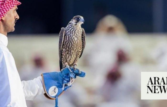 Saudi Falcon Club concludes auction with sales soaring to $1.9m