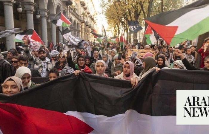 Pro-Palestinian demonstrators rally across Europe