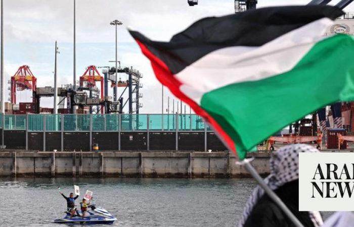 Pro-Palestinian protesters arrested at Australian port