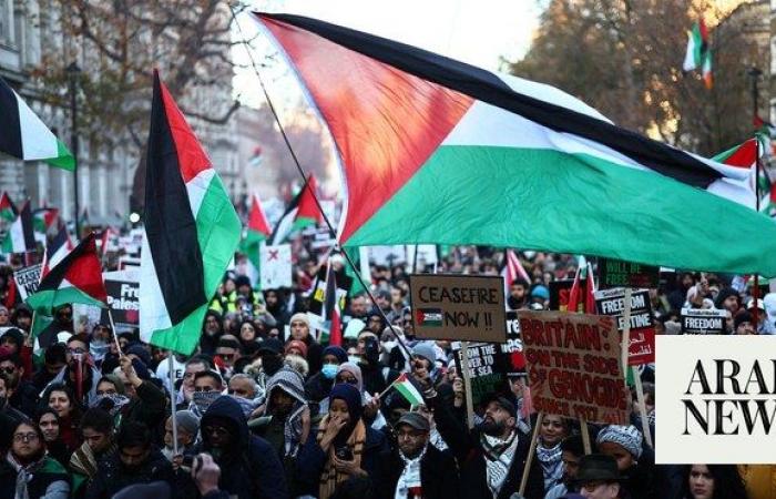 Two Pro-Palestine Protesters Arrested In London After Police Could Not ...