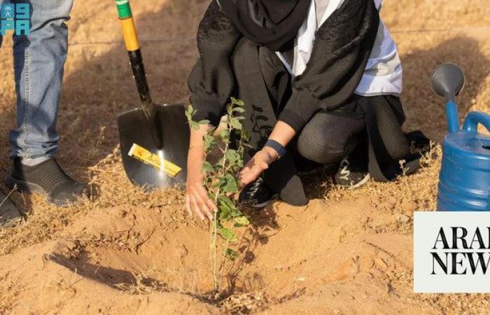 New Program helps Saudi Arabia’s aim to reach green goals