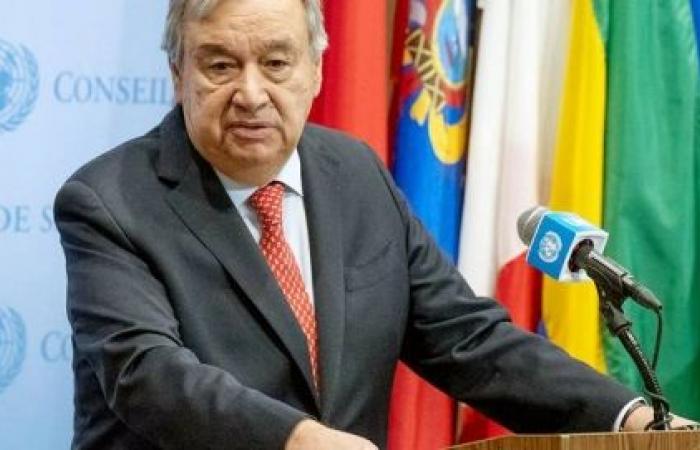 Hopes for a sustainable planet must not ‘melt away’: Guterres