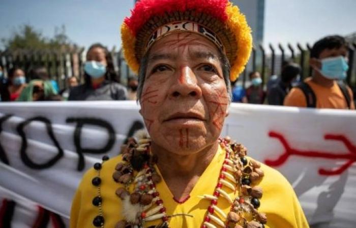 Indigenous community in Ecuador wins legal fight to reclaim ancestral land after 80 years