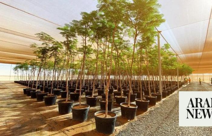 Red Sea Global nursery cultivates over 5m plants 